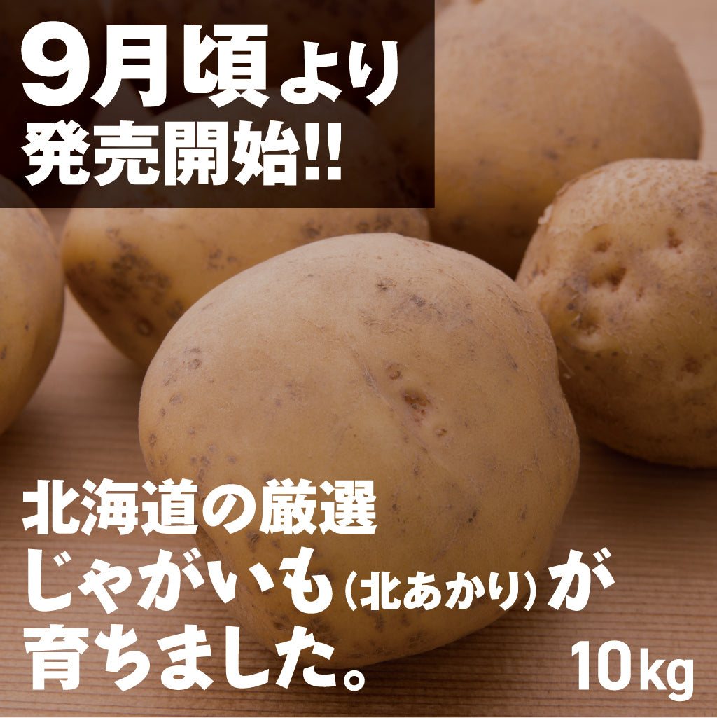 じゃがいも(北あかり) | 三栄アグリ
