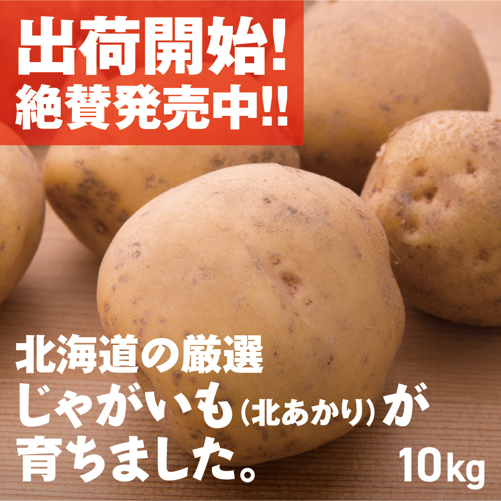 じゃがいも(北あかり) | 三栄アグリ