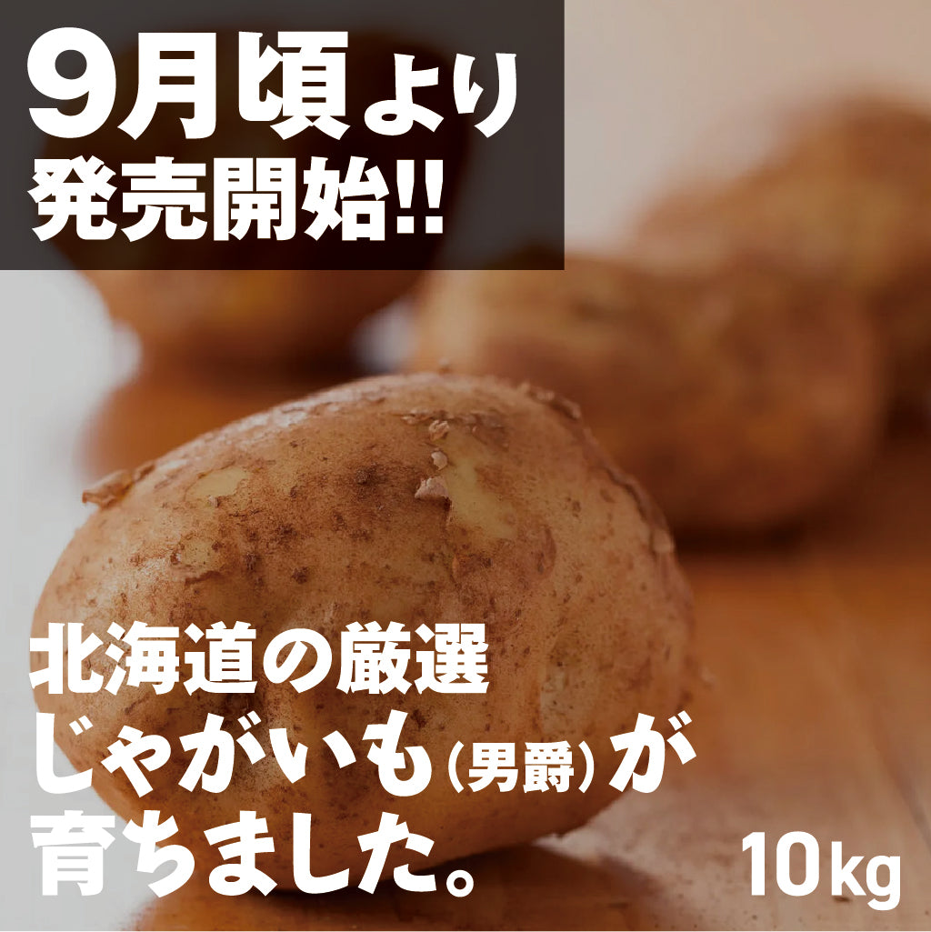 じゃがいも(男爵) | 三栄アグリ