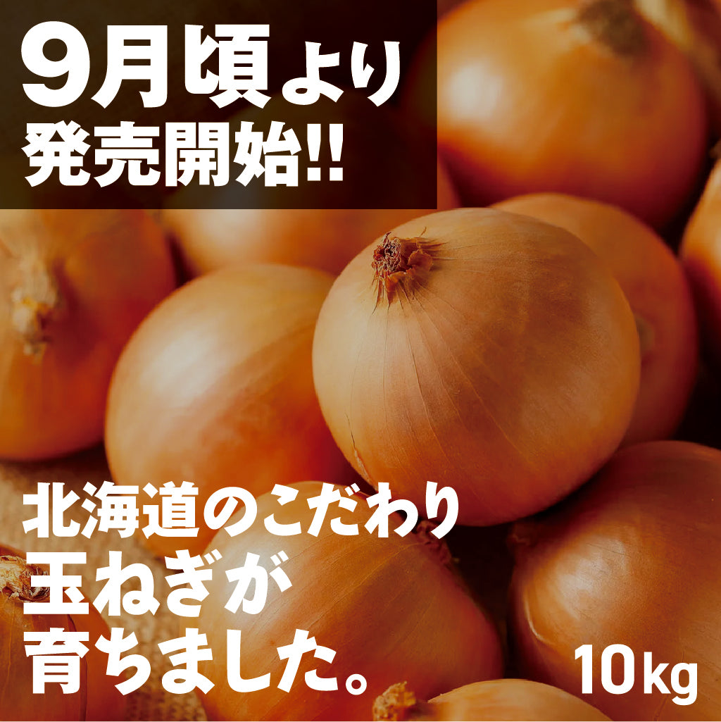 たまねぎ | 三栄アグリ