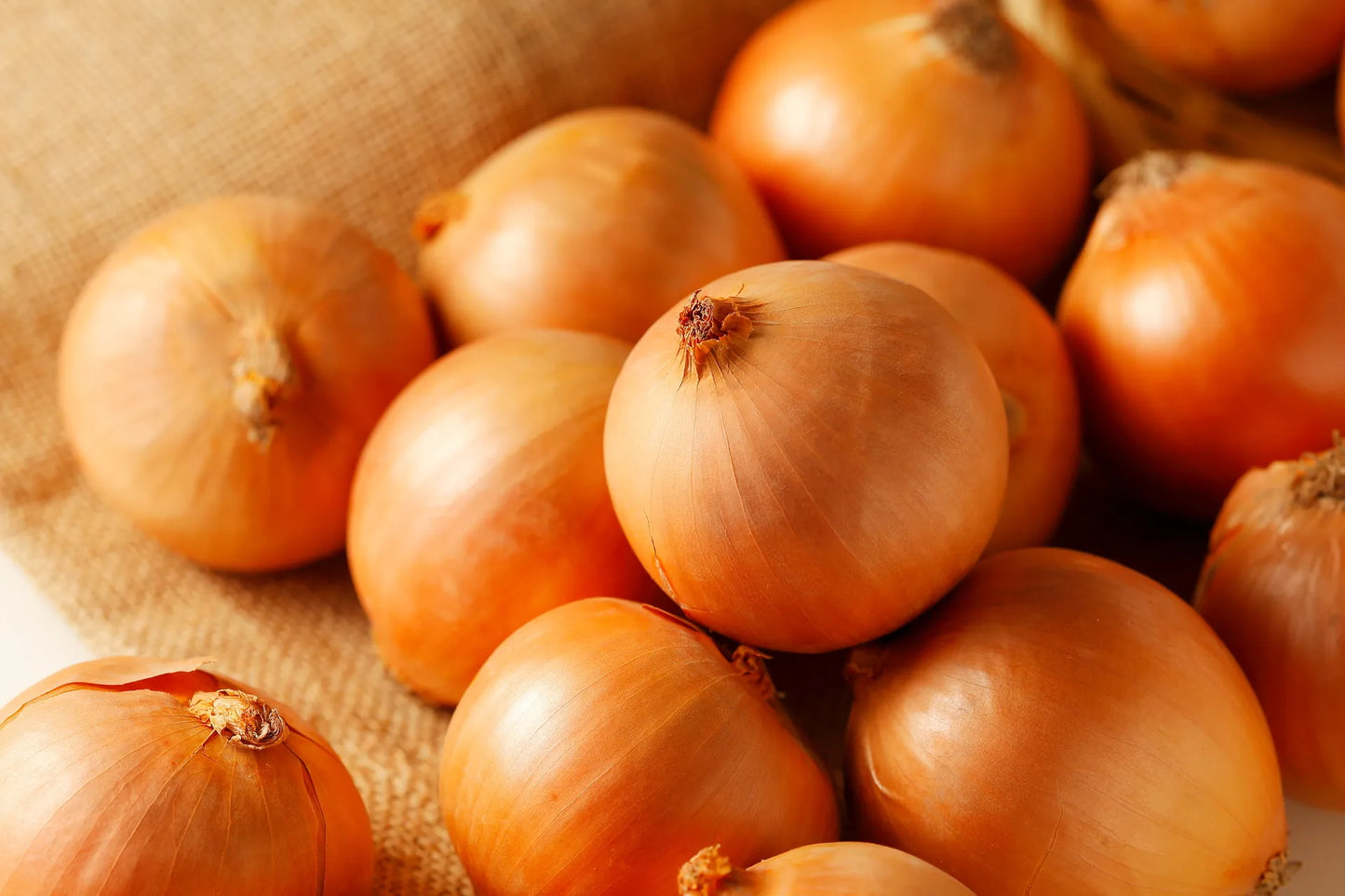 たまねぎ | 三栄アグリ