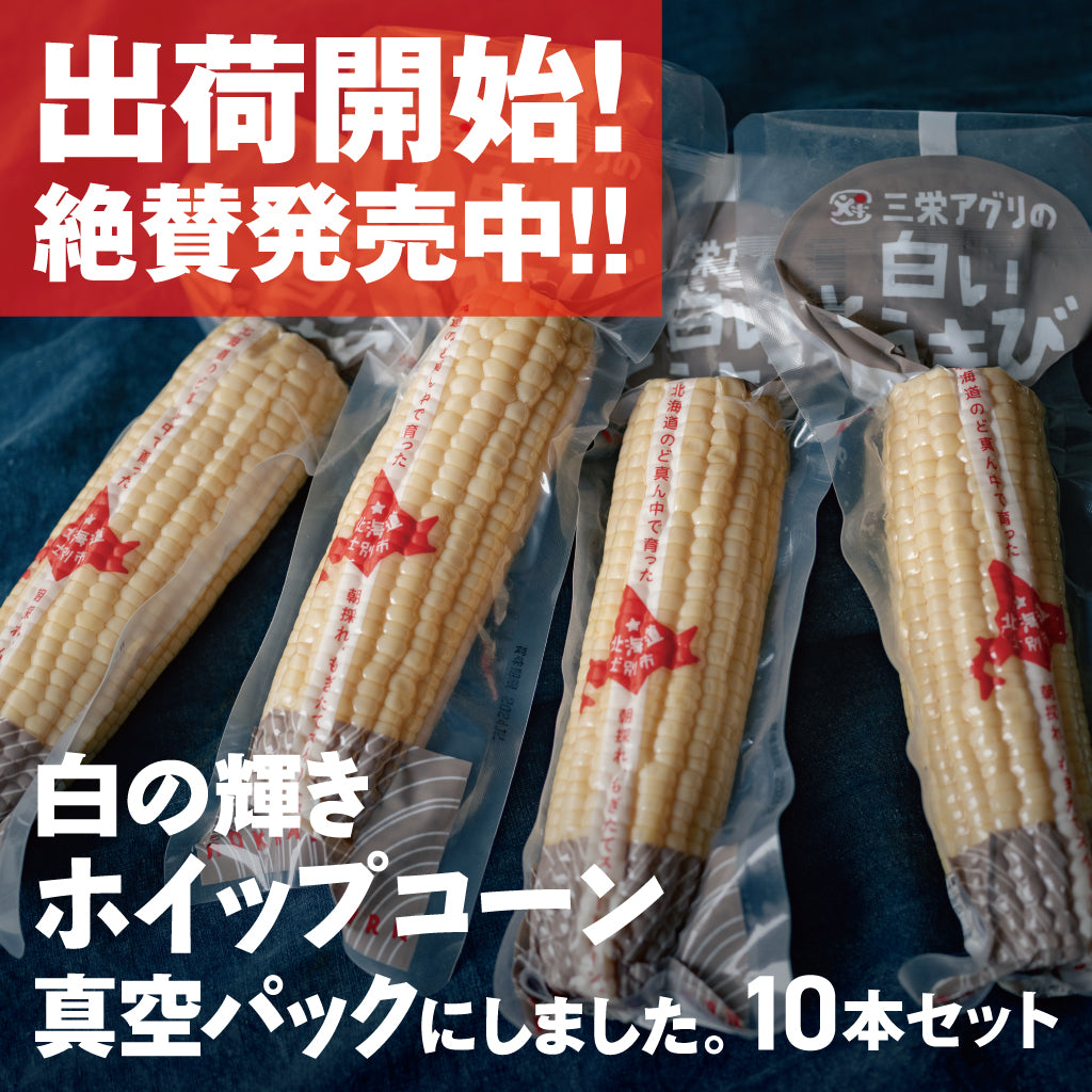北海道レトルトコーン(ホイップコーン) 三栄アグリのもぎたて | 三栄アグリ