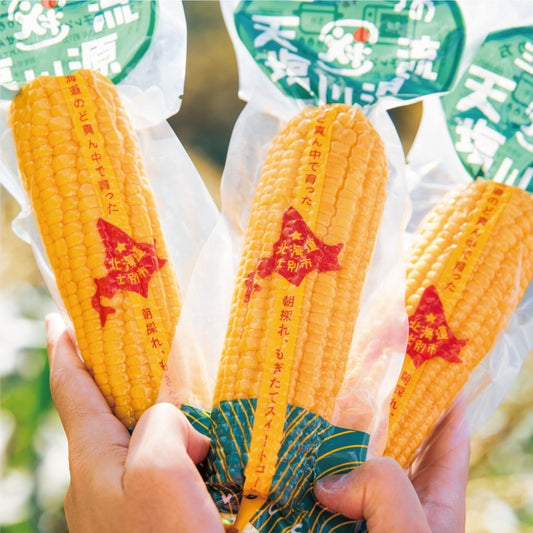 北海道レトルトコーン(ゴールドラッシュ) 天塩川源流 | 三栄アグリ