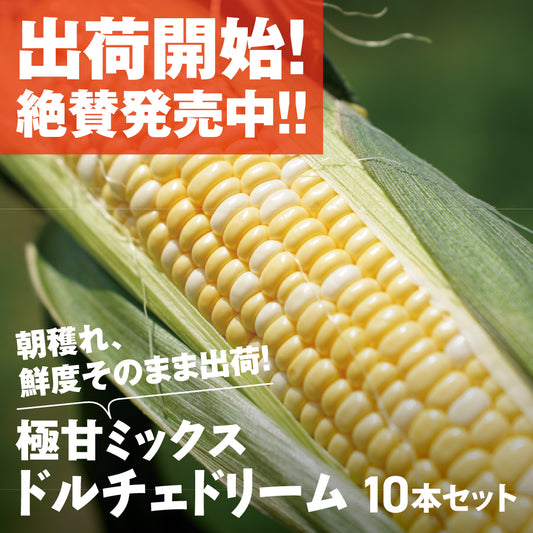とうもろこし（ドルチェドリーム）| 三栄アグリ