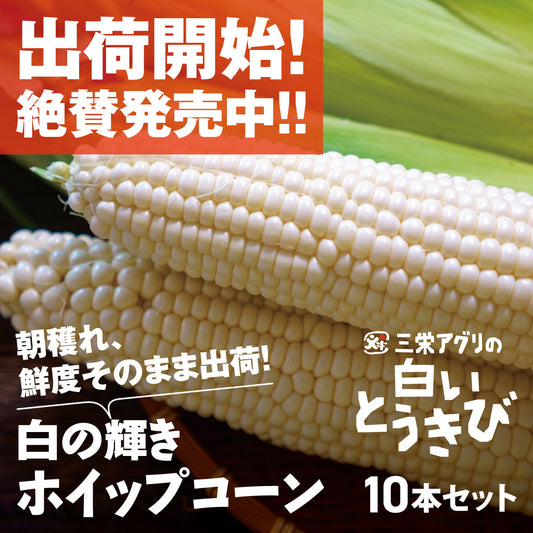 三栄アグリのホイップコーン  | 三栄アグリ